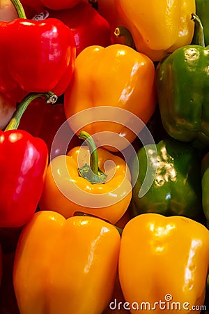 Ripe colorful vegetables sweet pepper yellow green red background culinary base Stock Photo