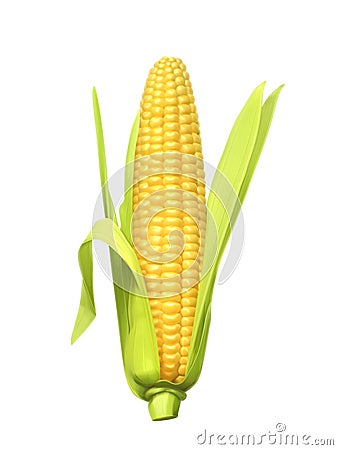 Ripe corn ear Vector Illustration
