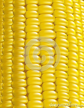 Ripe corn. Vector illustration macro. Vector Illustration