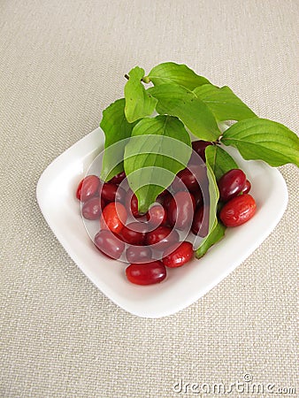 Ripe cornelian cherries Stock Photo