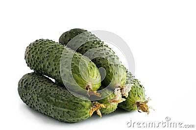 Ripe cucumber Stock Photo