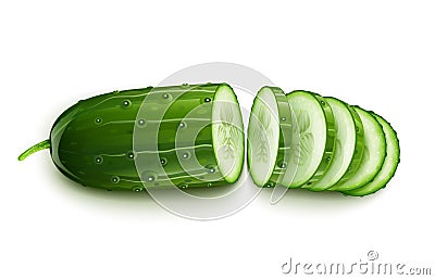 Ripe cucumber cut segment Vector Illustration