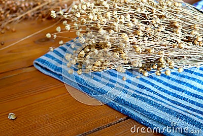 Ripe dried flax on the linen cloth fabrics Stock Photo