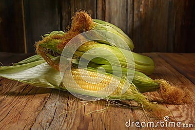 Ripe ears of sweet corn close-up on a wooden table, horizontal view, rustic style Stock Photo