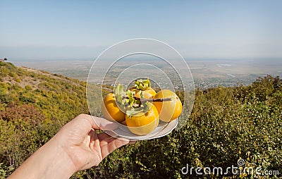 Ripe figs persimmons in a harvest at green Alazani Valley, Georgia. Natural landscape Stock Photo