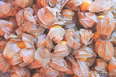 Ripe Fresh Cape Gooseberry in the Morning Market Stock Photo