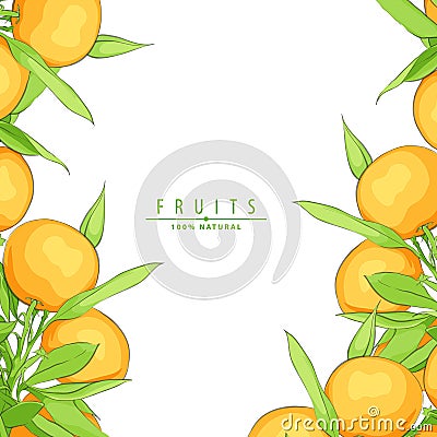 Ripe fresh oranges Vector Illustration