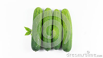 Fresh cucumbers isolated on white background. Stock Photo