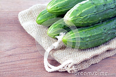Ripe fresh organic pickle cucumber Stock Photo