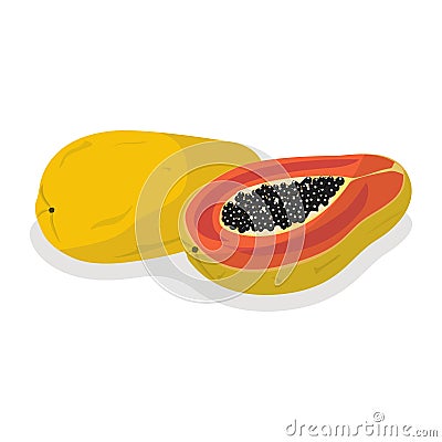 Ripe fresh papaya. Fresh natural product. Healthy nutrition. Cartoon Illustration