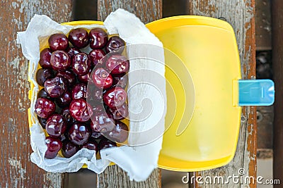 Ripe fresh tasty bio cherries in plastic lunchbox oudoors. Organic sweet berries takeaway quick food for picnic. Wooden table on b Stock Photo