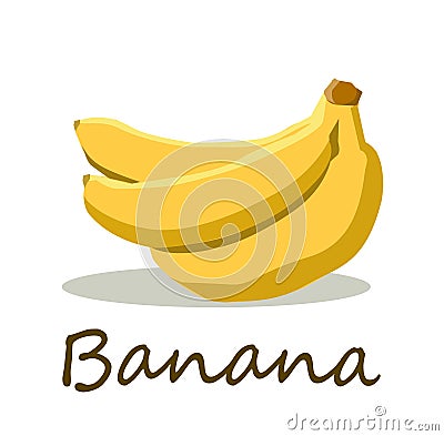 Ripe freshy banana vector on white color background. Cartoon Illustration