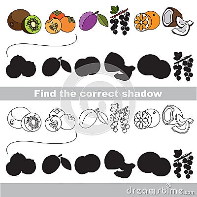 Ripe fruit set. Find correct shadow. Vector Illustration