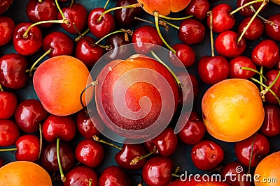 Ripe glossy sweet cherries with water drops, nectarines, apricots scattered on dark blue background, seamless pattern Stock Photo