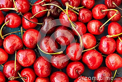 Ripe glossy sweet cherries with water drops scattered on dark blue background, seamless pattern Stock Photo