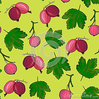 Ripe gooseberries seamless pattern. Vector Illustration