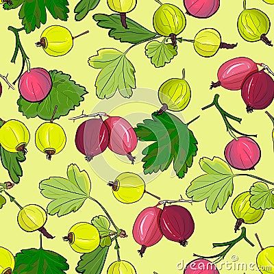 Ripe gooseberries seamless pattern. Vector Illustration