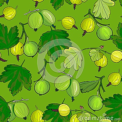 Ripe gooseberries seamless pattern. Vector Illustration