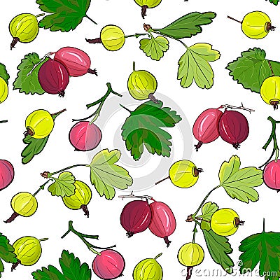 Ripe gooseberries seamless pattern. Vector Illustration