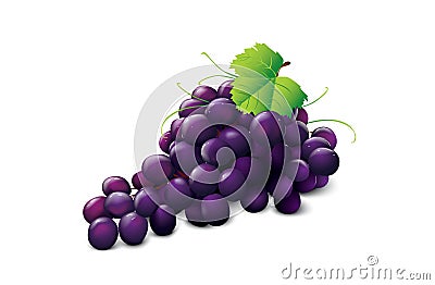 Ripe grape Vector Illustration