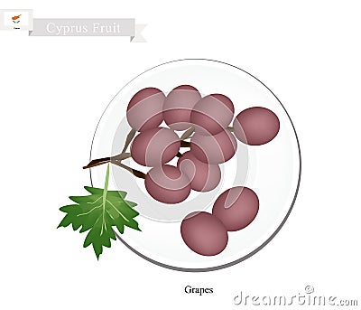 Ripe Grape, A Popular Fruit in Cyprus Vector Illustration