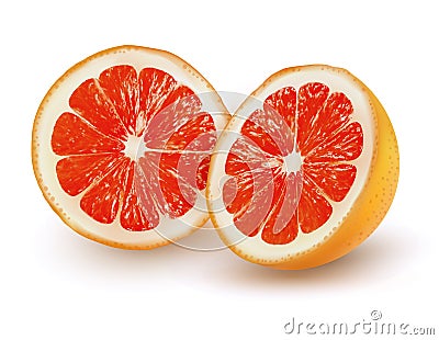 The ripe grapefruit on a transparent background. Vector Illustration