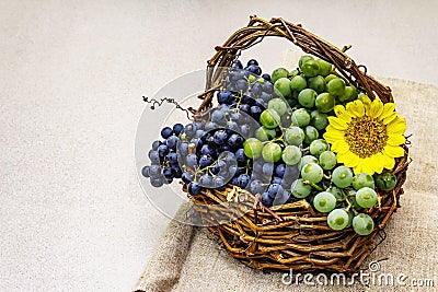 Ripe grapes in handmade basket Stock Photo