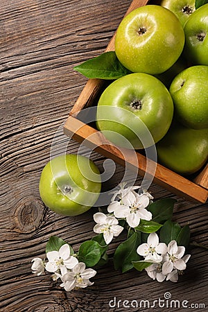 Ripe green apples in wooden box with branch of white flowers on a wooden table Stock Photo
