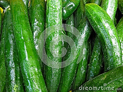 Ripe green cucumbers Stock Photo