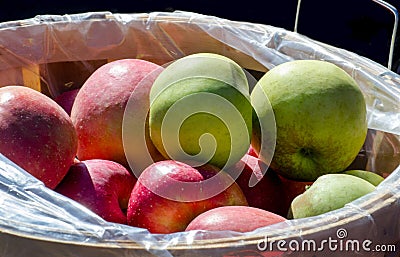 Basket of fresh apples close up Stock Photo