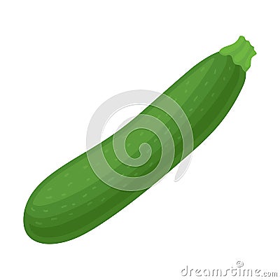 Ripe Green Vegetable Zucchini For Natural And Healthy Meal Vector Illustration Isolated On White Background Vector Illustration