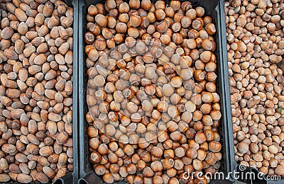 Ripe hazelnuts background. Hazelnut. Nuts in boxes. Stock Photo