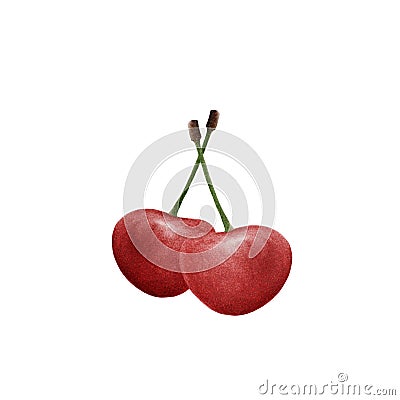 Ripe juicy dark red two cherries on stems. Watercolor illustration of cherry berries. Cartoon Illustration