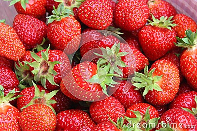 Ripe juicy garden strawberries. Natural strawberry background Stock Photo