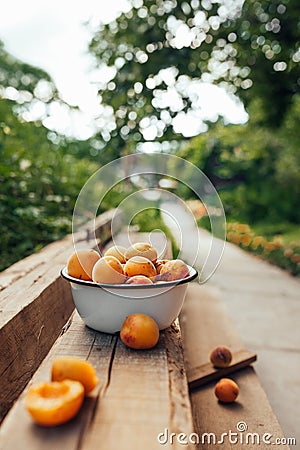 Ripe juicy homemade apricots with cracks and flaws in the plate and scattered on wooden boards against the background of a green Stock Photo