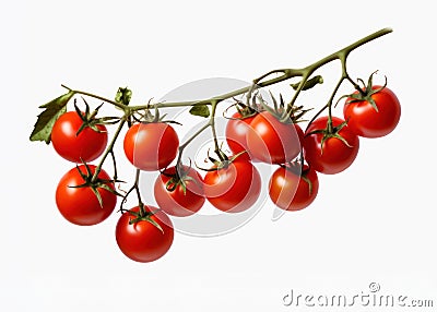 Ripe juicy red cherry tomatoes on a branch. isolate on white background Stock Photo