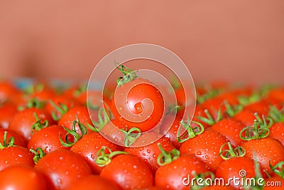 Ripe juicy tomatoes in box Stock Photo