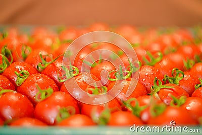 Ripe juicy tomatoes in box Stock Photo