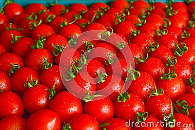 Ripe juicy tomatoes in box Stock Photo
