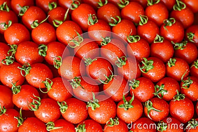 Ripe juicy tomatoes Stock Photo