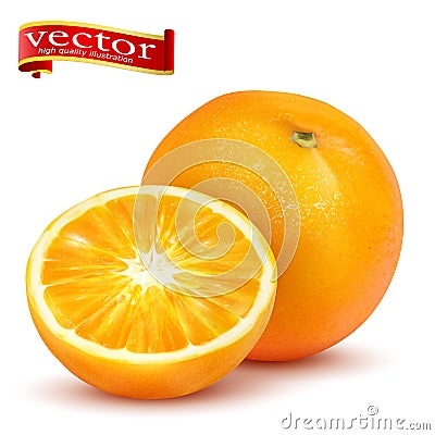 Ripe juicy sweet whole orange and slice vector realistic 3d illustration of high detail. Vector Illustration