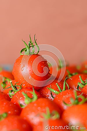 Ripe juicy tomatoes Stock Photo