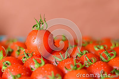 Ripe juicy tomatoes Stock Photo