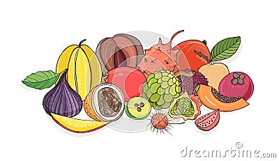 Ripe juicy tropical fruits lying together isolated on white background - tamarillo, passion fruit, mentega, fig Vector Illustration
