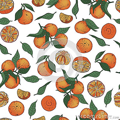 Seamless vector pattern of whole and peeled tangerines and leaves on a white background Vector Illustration