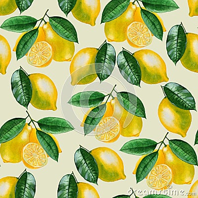 Ripe lemons Watercolor set. Citrus pattern on light green background. Stock Photo