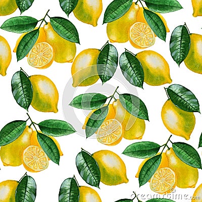 Ripe lemons Watercolor set. Citrus pattern on white background. Stock Photo