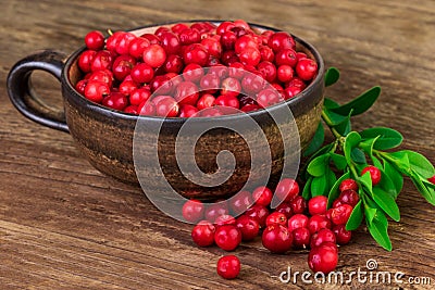 Ripe lingonberries cranberries cup close-up Stock Photo