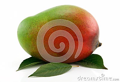 Ripe Mango Fruit with Green Leafs Isolated Stock Photo