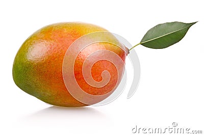 Ripe mango fruit isolated Stock Photo